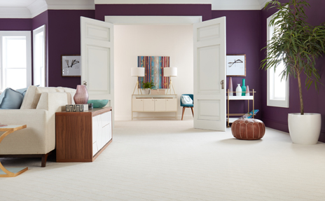 Cream Carpet Flooring in purple painted living room